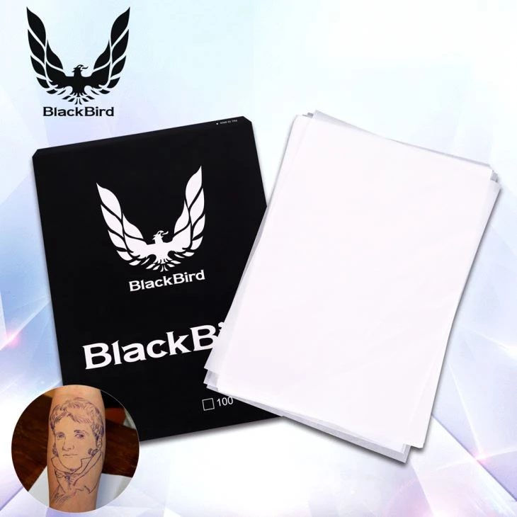 Blackbird Hình xăm giấy stt